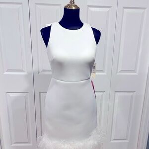 Eliza J Feather Hem Sheath Dress in Ivory, Size 6, NWT